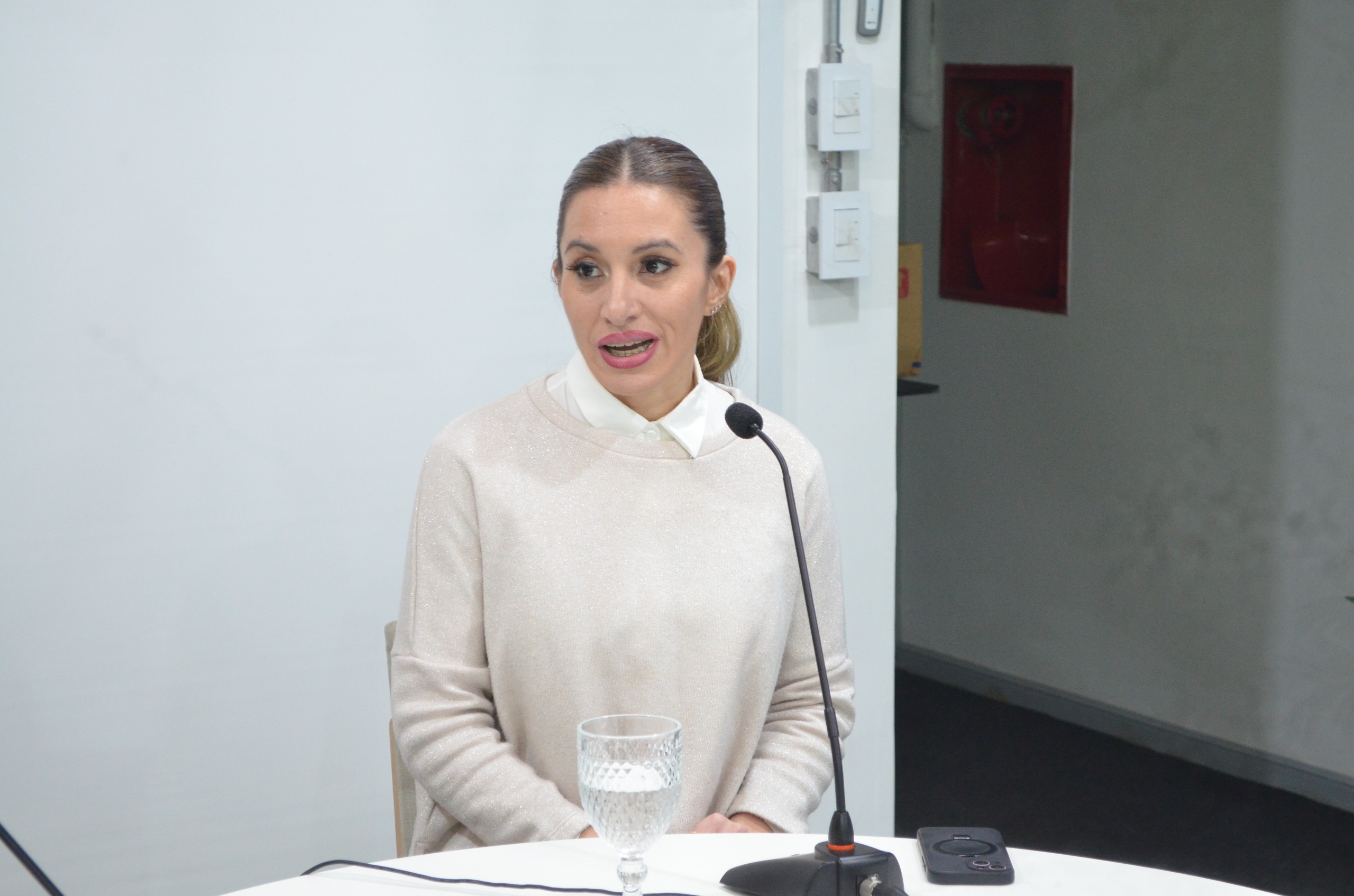 Diferencias entre psicología social y acompañamiento terapéutico y su aporte en la autonomía y vínculos sociales de los pacientes imagen-2