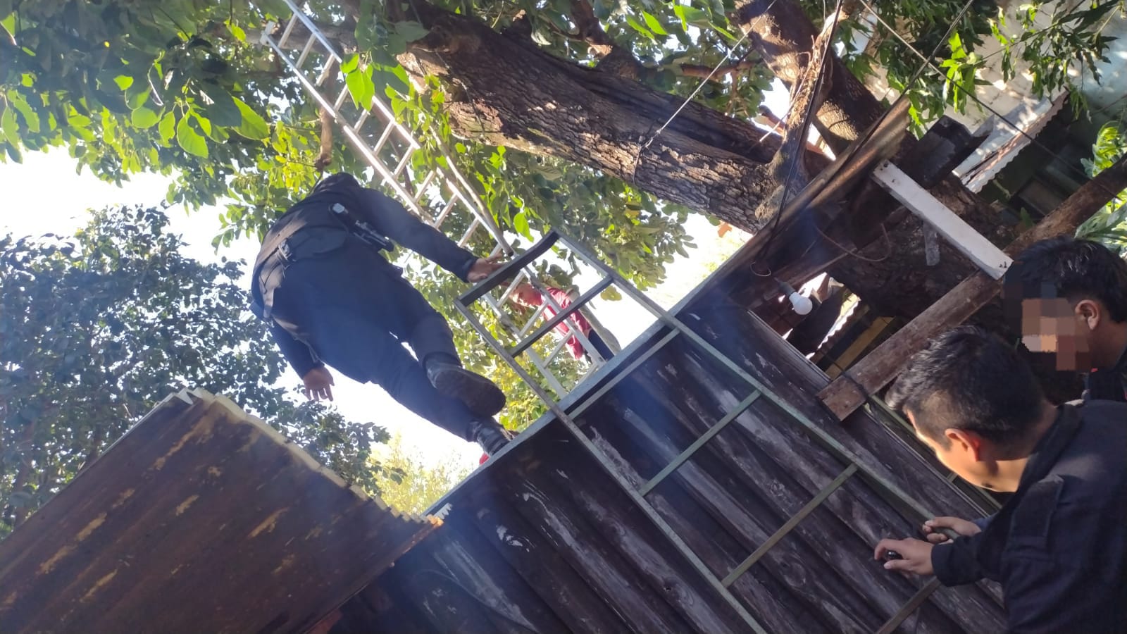 Hombre falleció tras caer de un árbol en su vivienda en Posadas 3 Hombre falleció tras caer de un árbol en su vivienda en Posadas imagen-2