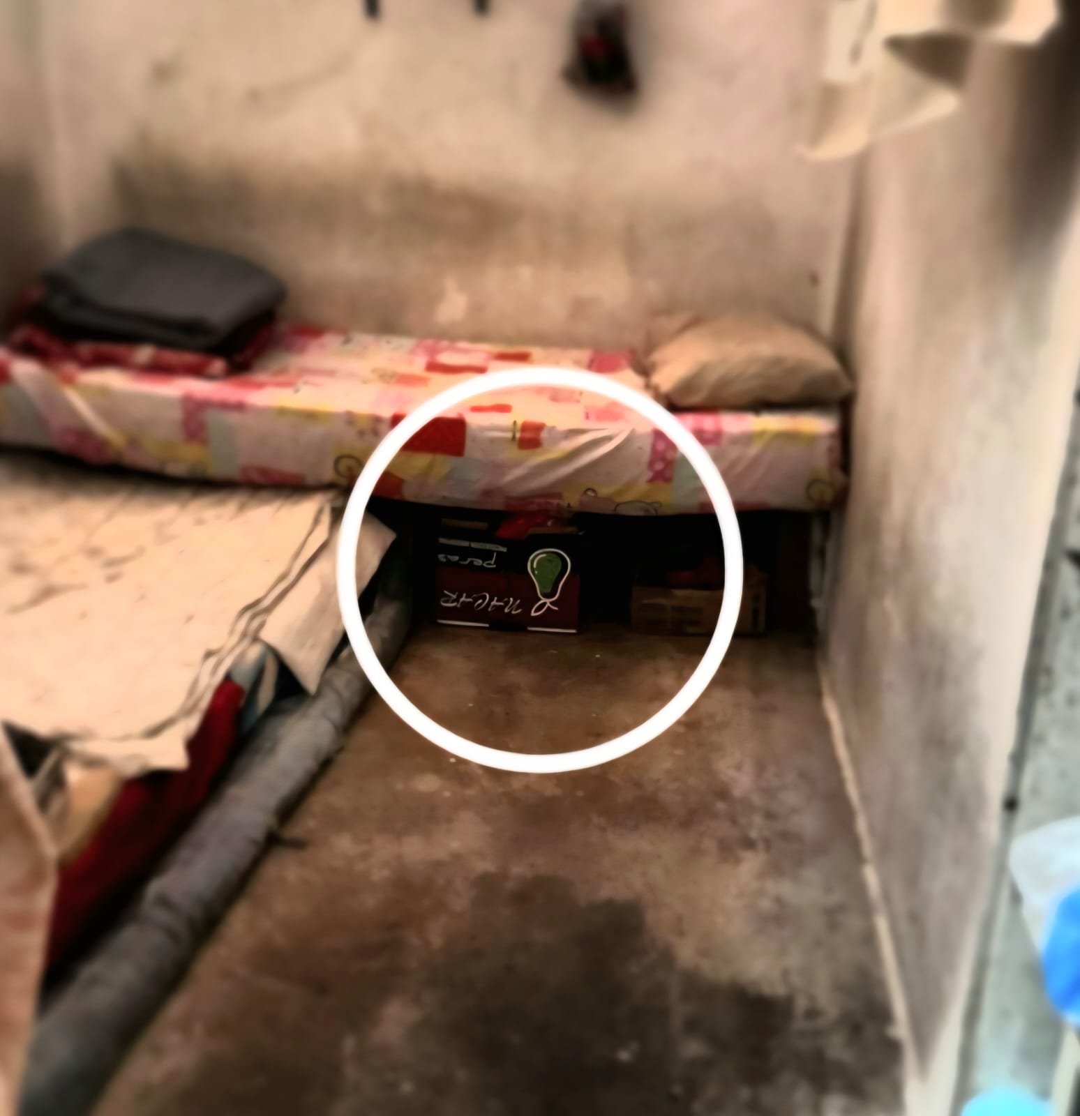 Frustran posible intento de fuga en la comisaría de Puerto Esperanza: hallaron un boquete en el calabozo 5 Frustran posible intento de fuga en la comisaría de Puerto Esperanza: hallaron un boquete en el calabozo imagen-4