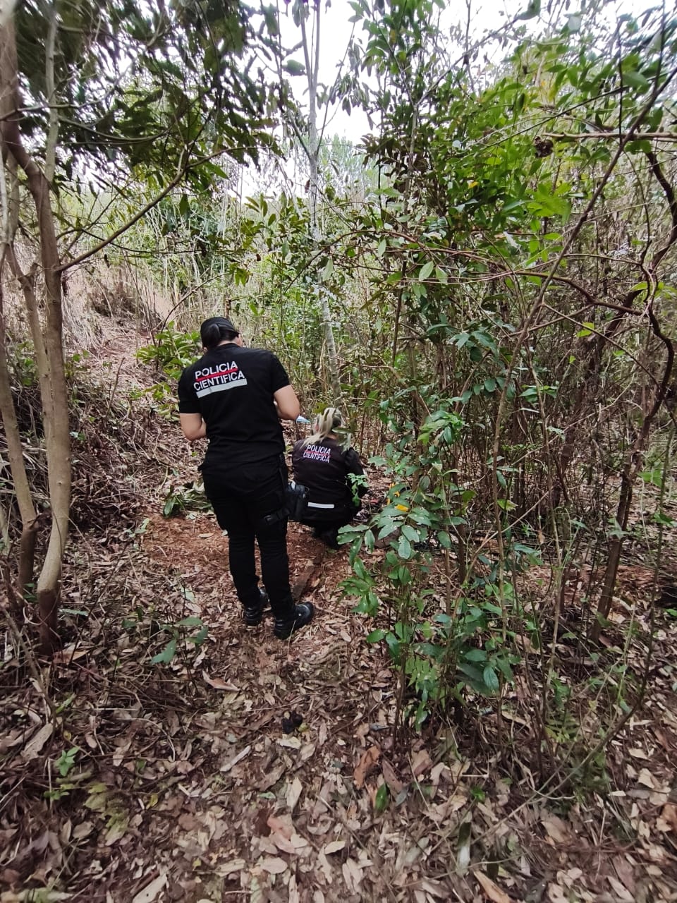Macabro: hallaron restos humanos calcinados en una zona rural de Bernardo de Irigoyen 3 Macabro: hallaron restos humanos calcinados en una zona rural de Bernardo de Irigoyen imagen-2