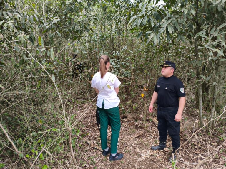 Macabro: hallaron restos humanos calcinados en una zona rural de Bernardo de Irigoyen Macabro: hallaron restos humanos calcinados en una zona rural de Bernardo de Irigoyen imagen-24