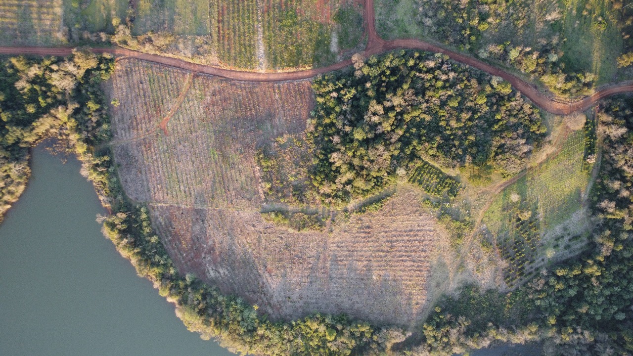 Ecología constató deforestación en la Reserva El Saltito durante inspección forestal 3 Ecología constató deforestación en la Reserva El Saltito durante inspección forestal imagen-2