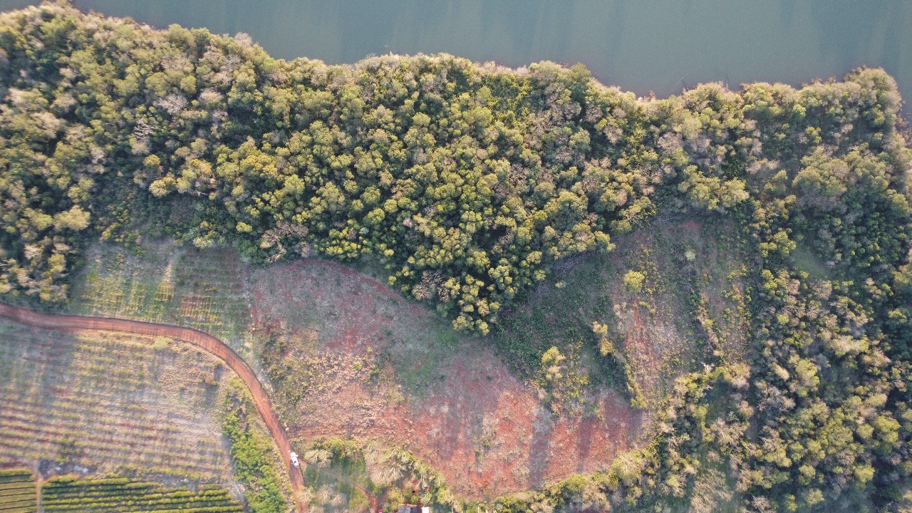 Ecología constató deforestación en la Reserva El Saltito durante inspección forestal 9 Ecología constató deforestación en la Reserva El Saltito durante inspección forestal imagen-8