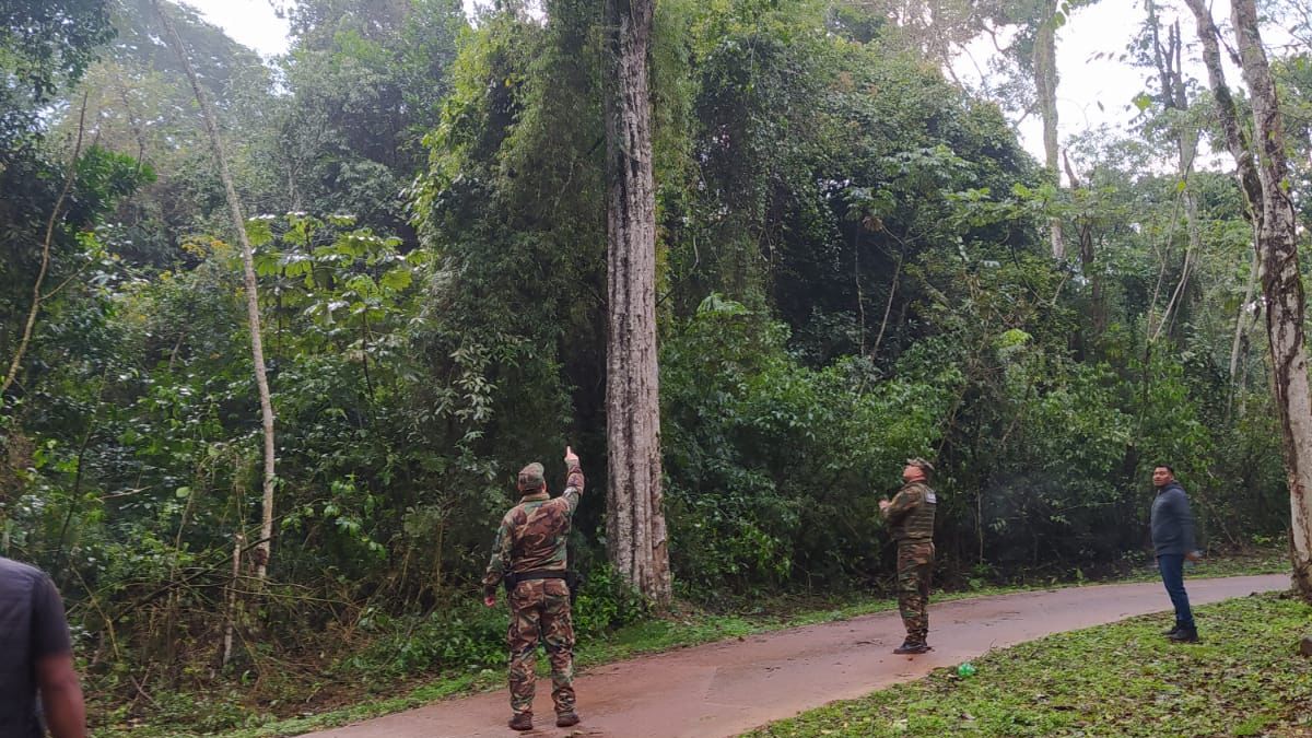 Realizan un control de recursos forestales en la comunidad Ita Poty Mirí de Puerto Iguazú imagen-4