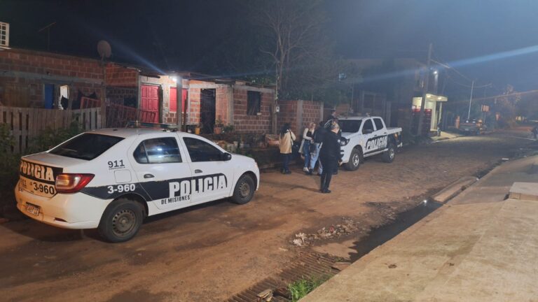 Posadas: tres hermanitos fueron resguardados por la Policía y organismos de protección para garantizar su integridad Posadas: tres hermanitos fueron resguardados por la Policía y organismos de protección para garantizar su integridad imagen-28