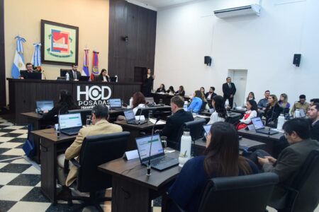 Concejales aprueban un programa para fortalecer la infraestructura ambiental de Posadas Concejales aprueban un programa para fortalecer la infraestructura ambiental de Posadas imagen-4