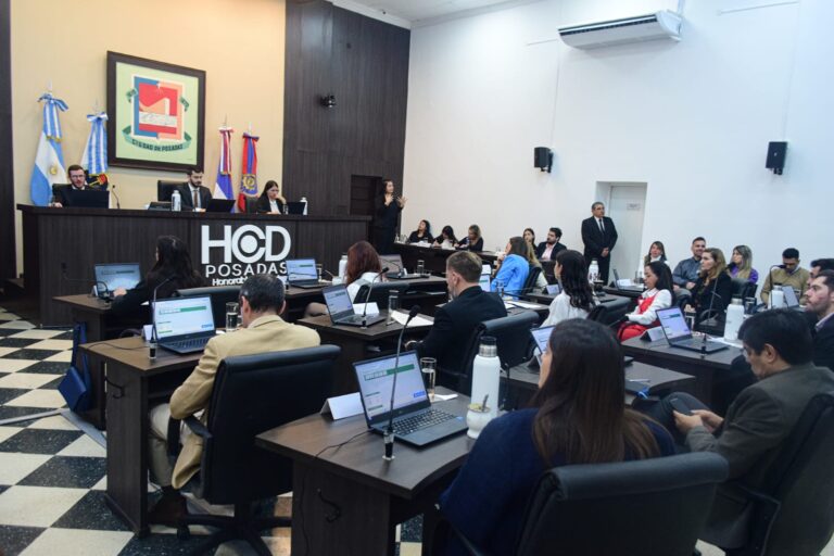 Concejales aprueban un programa para fortalecer la infraestructura ambiental de Posadas Concejales aprueban un programa para fortalecer la infraestructura ambiental de Posadas imagen-27