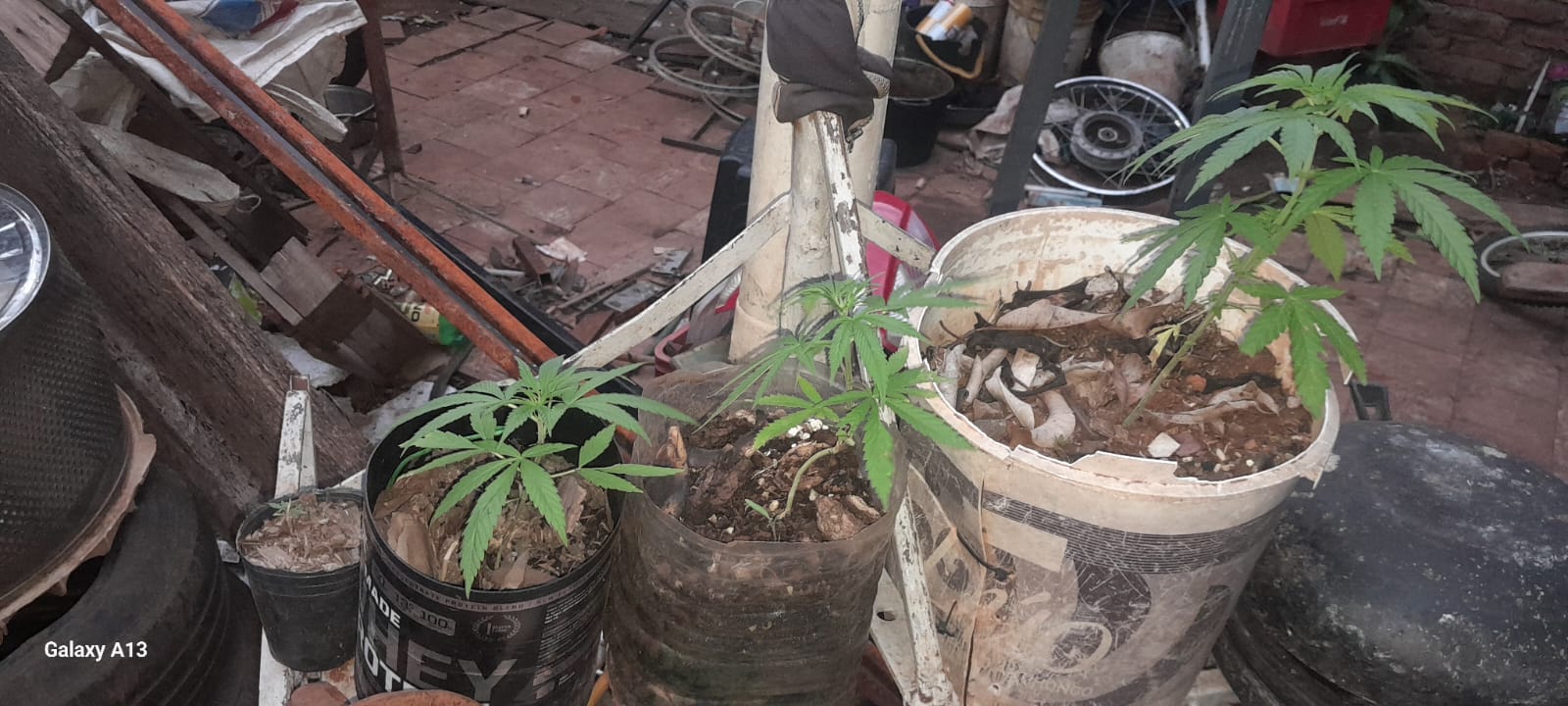 Golpe al narcomenudeo en barrio A 3-2 de Posadas: dos detenidos y marihuana secuestrada 5 Golpe al narcomenudeo en barrio A 3-2 de Posadas: dos detenidos y marihuana secuestrada imagen-4