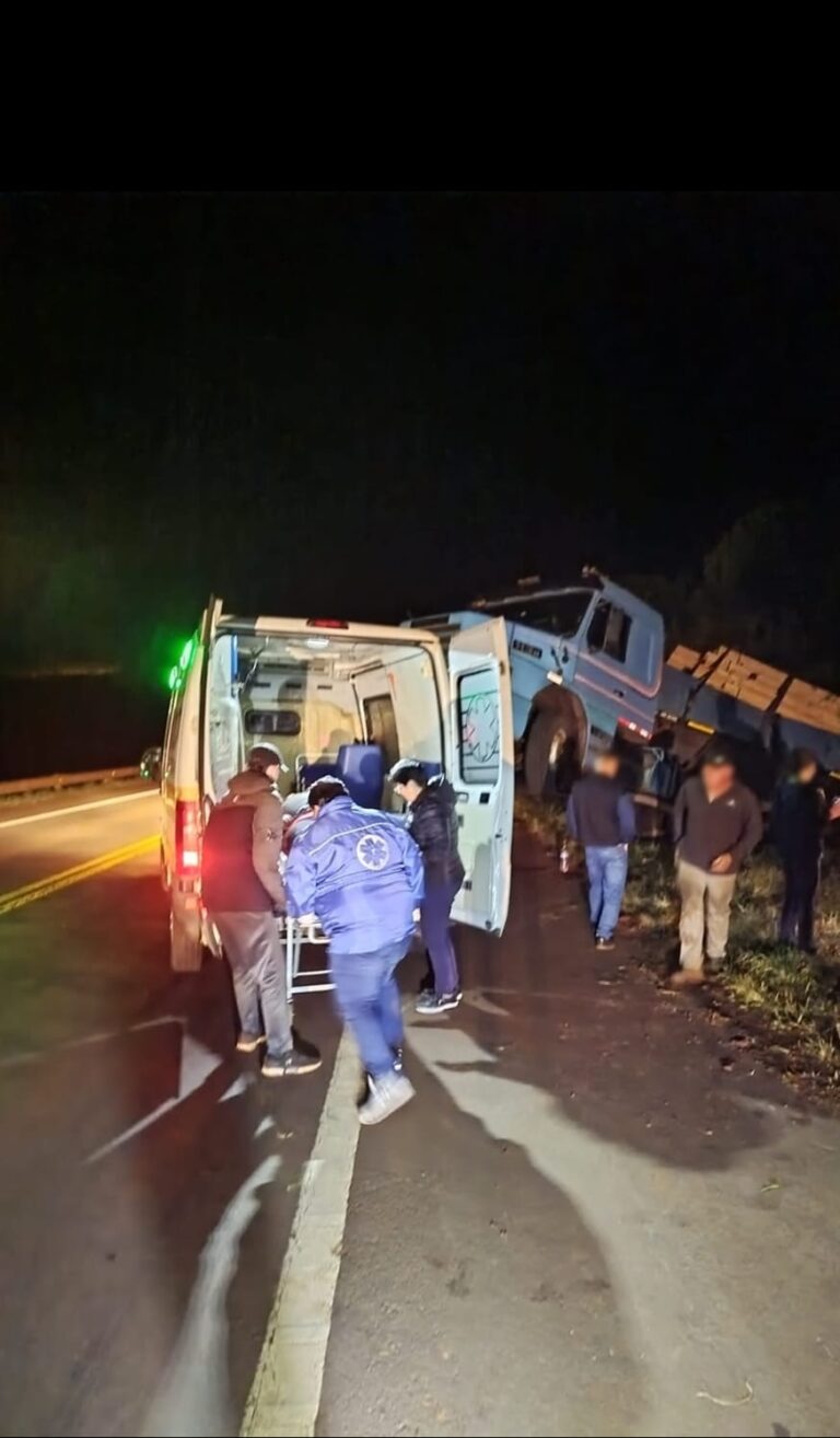 Campo Viera: camionero fue hospitalizado tras despistar sobre ruta nacional 14 Campo Viera: camionero fue hospitalizado tras despistar sobre ruta nacional 14 imagen-48