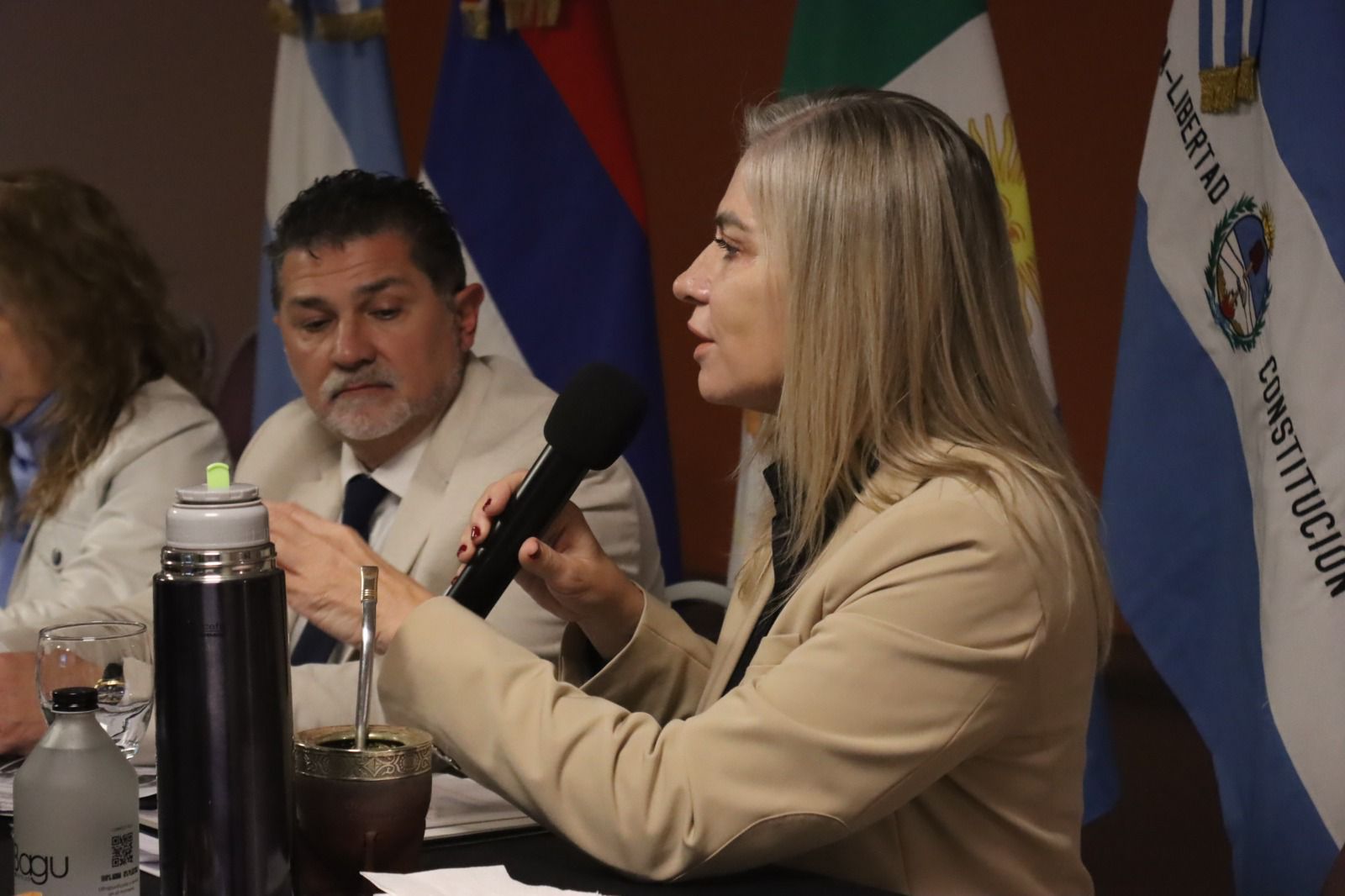 Misiones presidirá el Comité Ejecutivo Región NEA de la Junta Federal de Cortes y Superiores Tribunales imagen-8