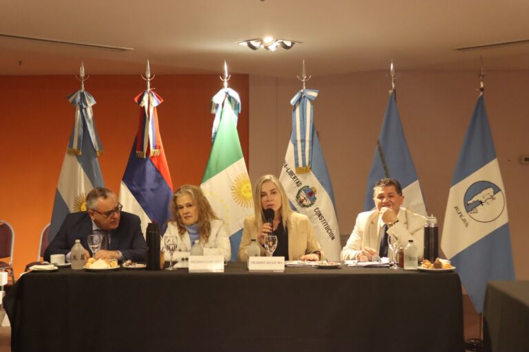 Misiones presidirá el Comité Ejecutivo Región NEA de la Junta Federal de Cortes y Superiores Tribunales Misiones presidirá el Comité Ejecutivo Región NEA de la Junta Federal de Cortes y Superiores Tribunales imagen-24