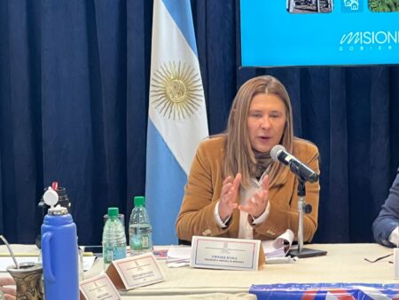 Energía de Misiones expuso su proyección presupuestaria para 2026 imagen-6