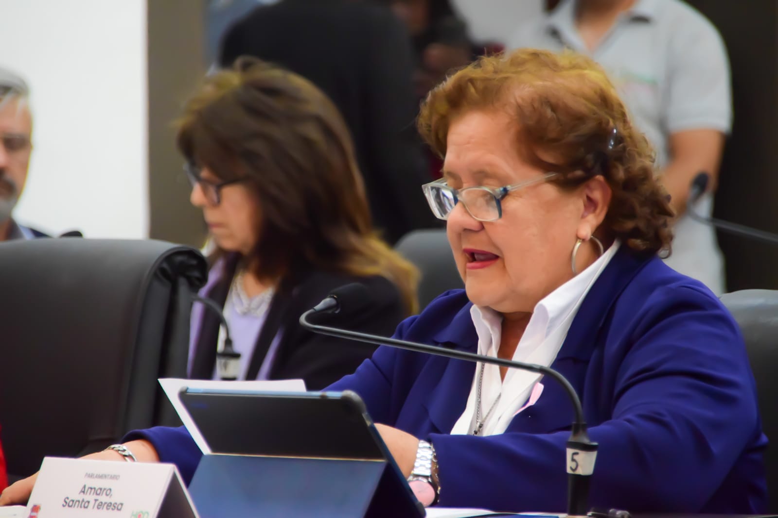 Los Parlamentos del HCD posadeño se consolidan como una herramienta que fortalece la voz de diferentes generaciones imagen-4