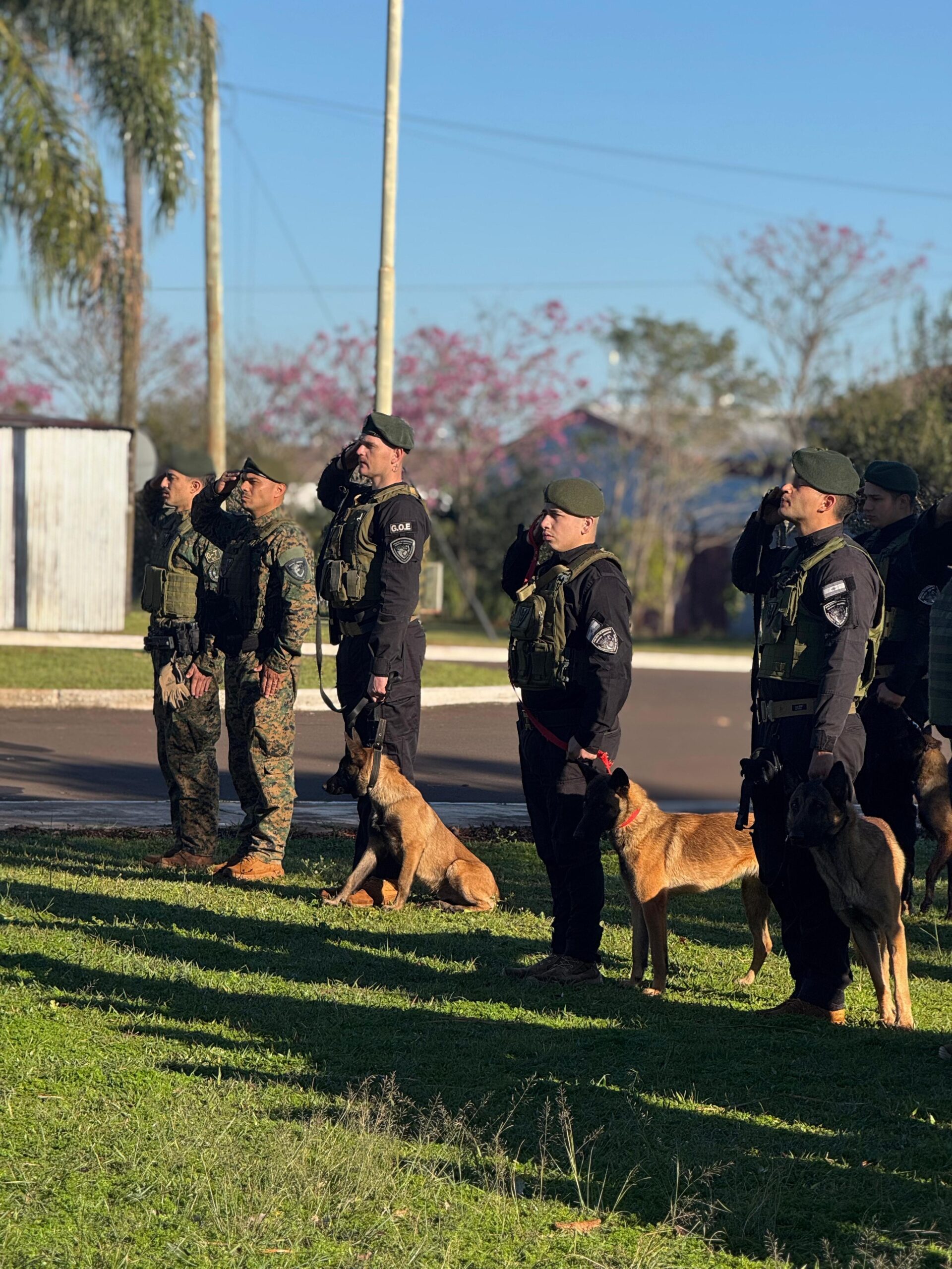 Suman nuevos operadores K9 al G.O.E. para búsquedas, rescates y detección de narcóticos 5 Suman nuevos operadores K9 al G.O.E. para búsquedas, rescates y detección de narcóticos imagen-4