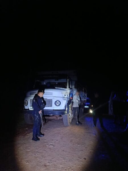 Incautan un camión con madera nativa en San Vicente, cuatro hombres fueron detenidos imagen-10