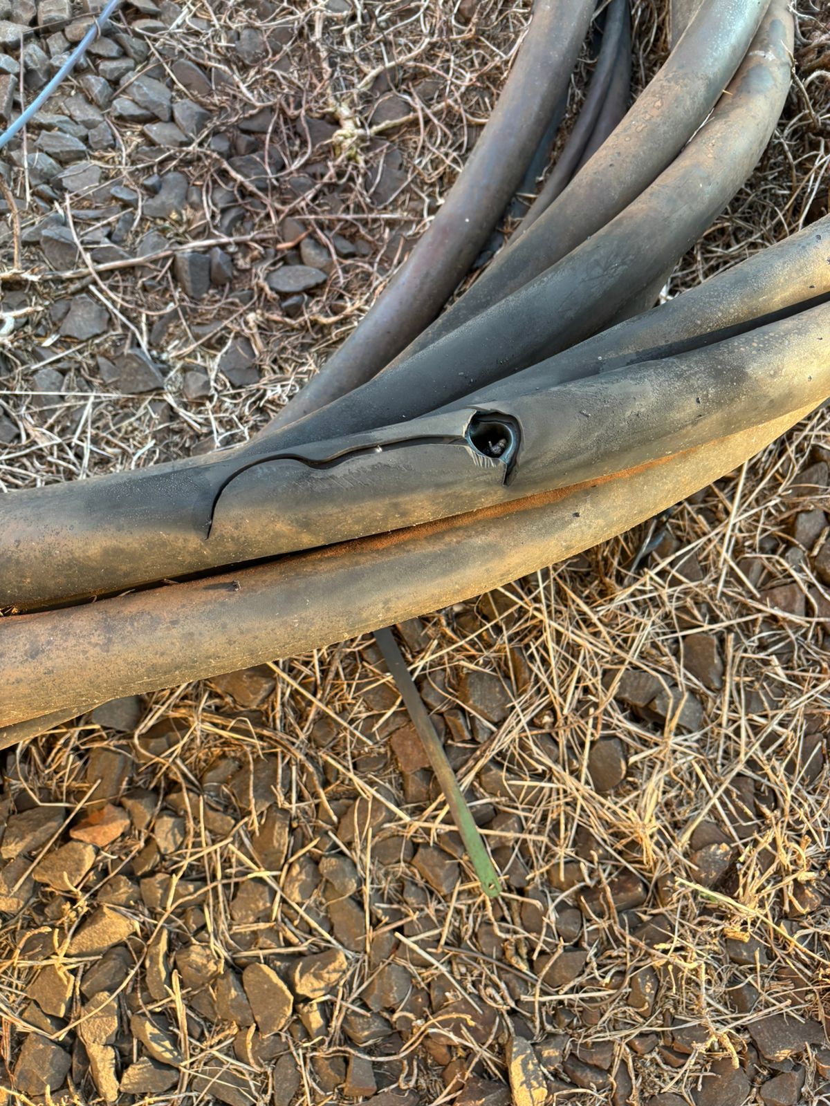 Nuevo intento de robo de cables dejó sin luz a 10 mil vecinos de Posadas 9 Nuevo intento de robo de cables dejó sin luz a 10 mil vecinos de Posadas imagen-8