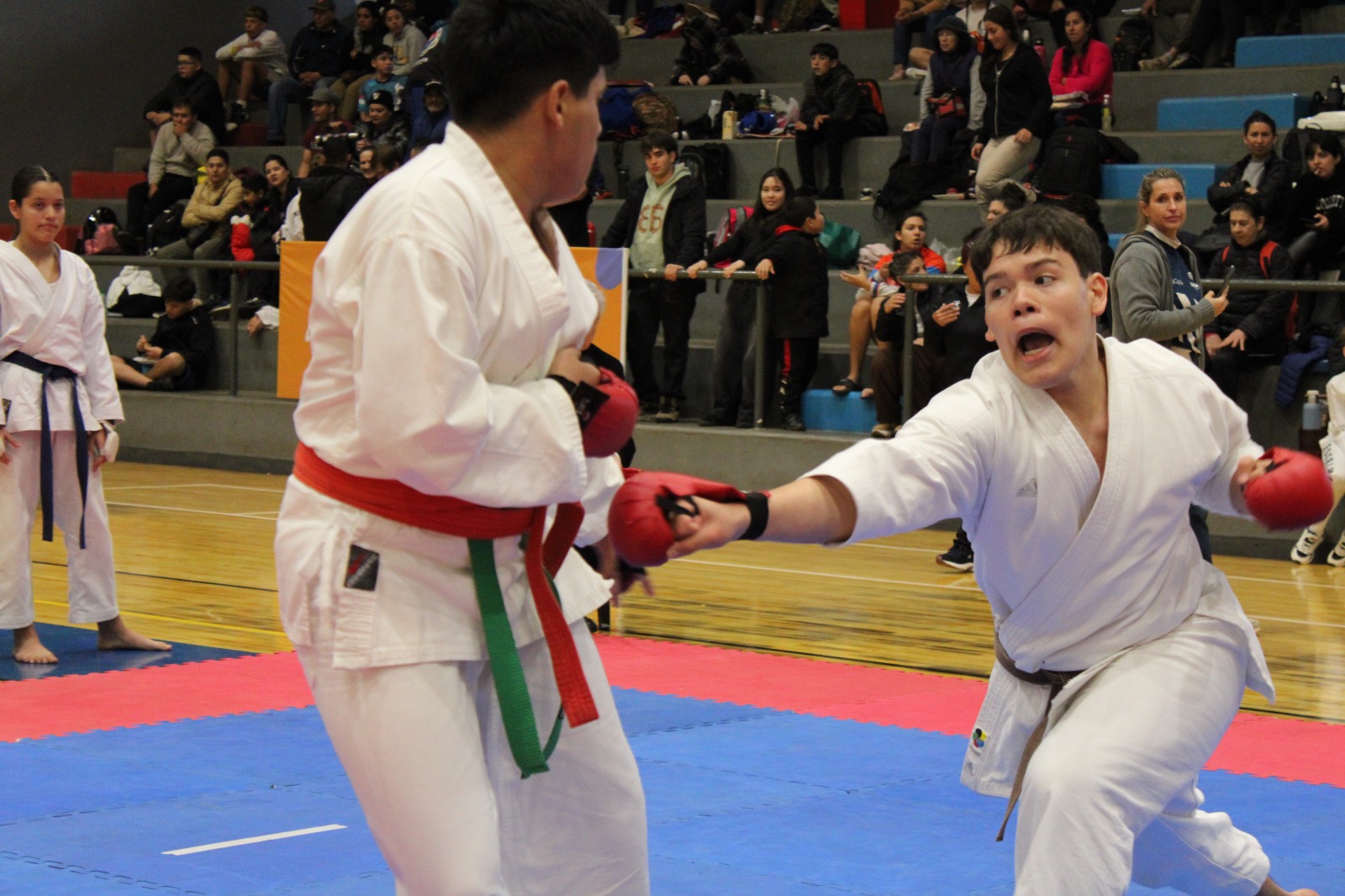 JJ. DD. Misioneros: continúa la competencia en distintas disciplinas 13 JJ. DD. Misioneros: continúa la competencia en distintas disciplinas imagen-12