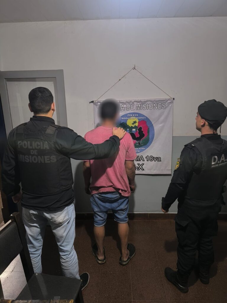 Posadas: arrestaron a un delincuente vinculado al robo de cables del tendido eléctrico Posadas: arrestaron a un delincuente vinculado al robo de cables del tendido eléctrico imagen-36