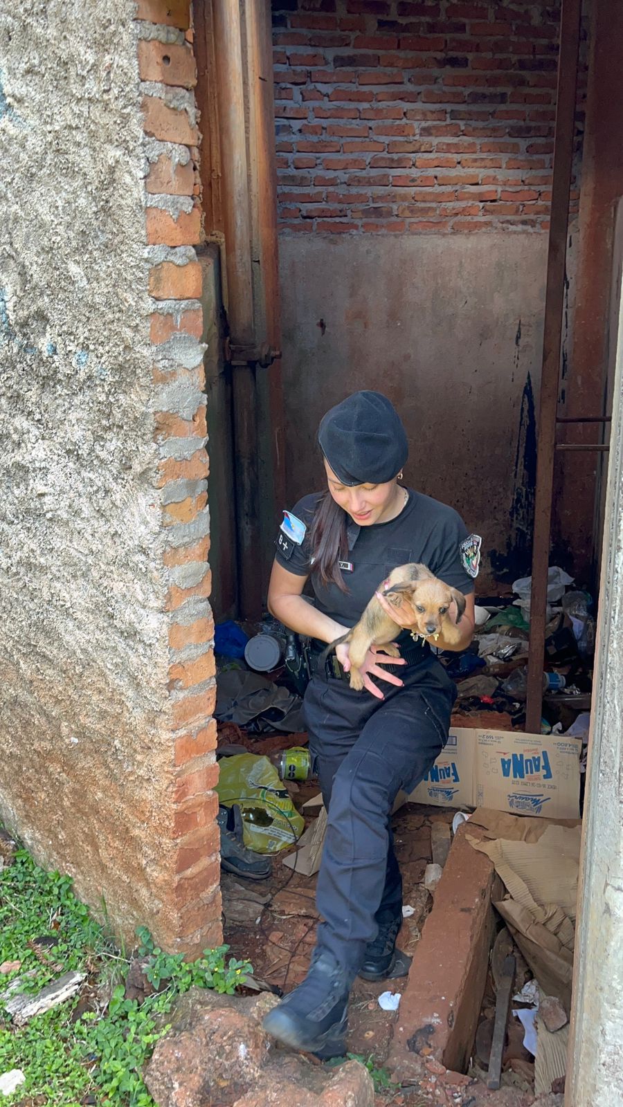 Oberá: rescataron a una cachorra atrapada en un tanque y sospechan que pedían recompensa para devolverla 3 Oberá: rescataron a una cachorra atrapada en un tanque y sospechan que pedían recompensa para devolverla imagen-2