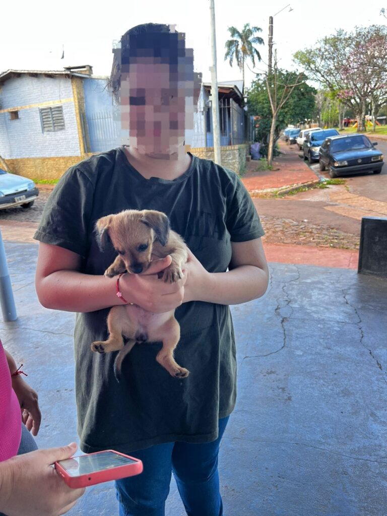 Oberá: rescataron a una cachorra atrapada en un tanque y sospechan que pedían recompensa para devolverla Oberá: rescataron a una cachorra atrapada en un tanque y sospechan que pedían recompensa para devolverla imagen-20