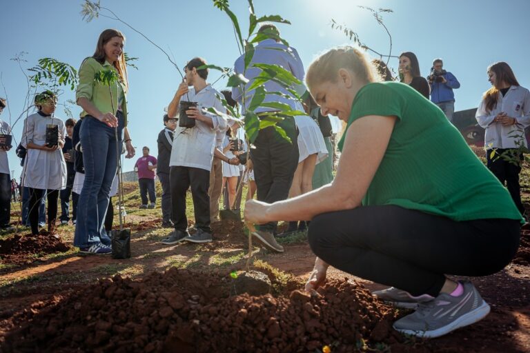 Posadas tiene un nuevo bosque urbano en la costanera Posadas tiene un nuevo bosque urbano en la costanera imagen-43