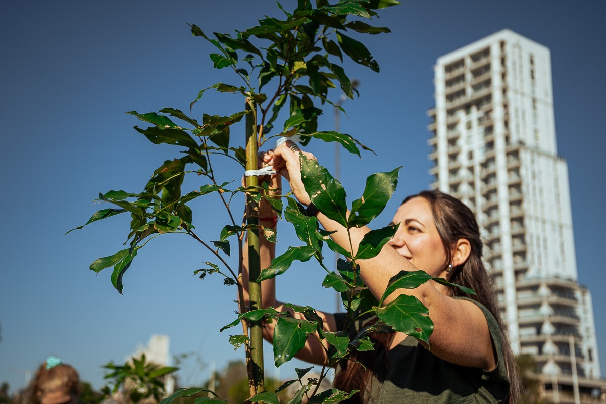 Posadas tiene un nuevo bosque urbano en la costanera 7 Posadas tiene un nuevo bosque urbano en la costanera imagen-6