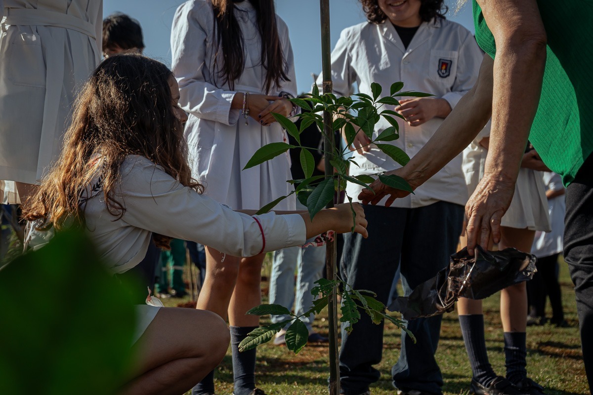 Posadas tiene un nuevo bosque urbano en la costanera 5 Posadas tiene un nuevo bosque urbano en la costanera imagen-4