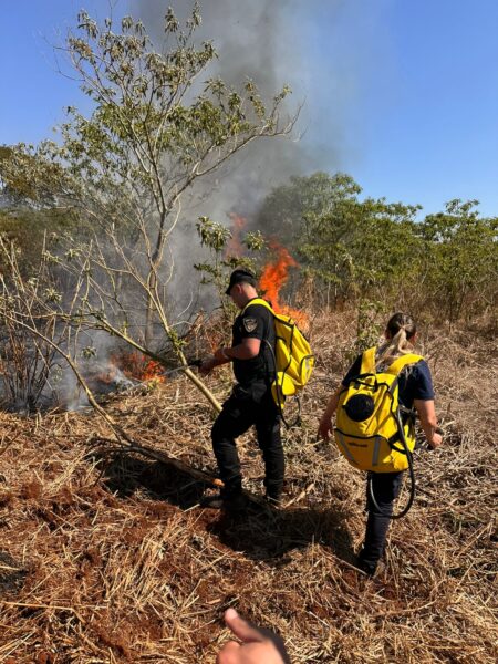 Intensa actividad de Bomberos de la Policía por múltiples focos de incendio en la provincia imagen-4