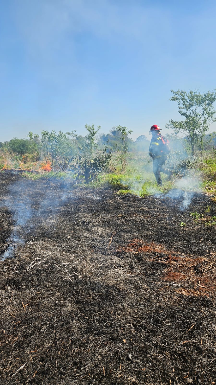 Intensa actividad de Bomberos de la Policía por múltiples focos de incendio en la provincia 3 Intensa actividad de Bomberos de la Policía por múltiples focos de incendio en la provincia imagen-2
