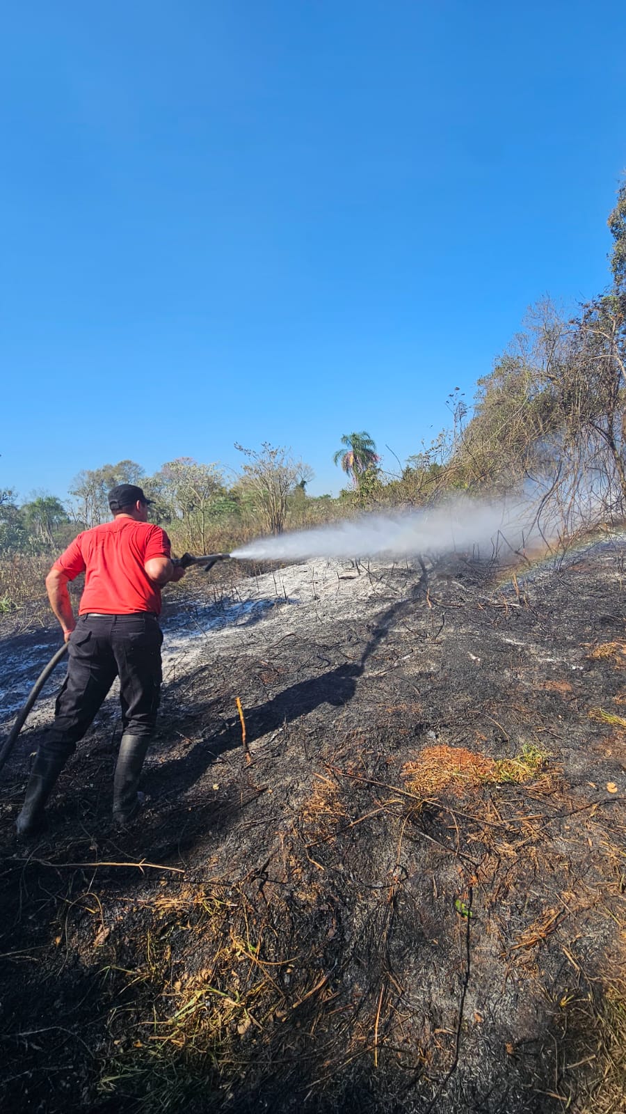 Intensa actividad de Bomberos de la Policía por múltiples focos de incendio en la provincia 19 Intensa actividad de Bomberos de la Policía por múltiples focos de incendio en la provincia imagen-18