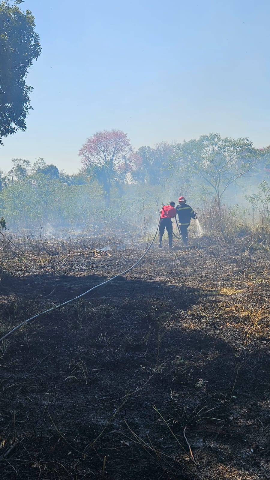 Intensa actividad de Bomberos de la Policía por múltiples focos de incendio en la provincia 13 Intensa actividad de Bomberos de la Policía por múltiples focos de incendio en la provincia imagen-12
