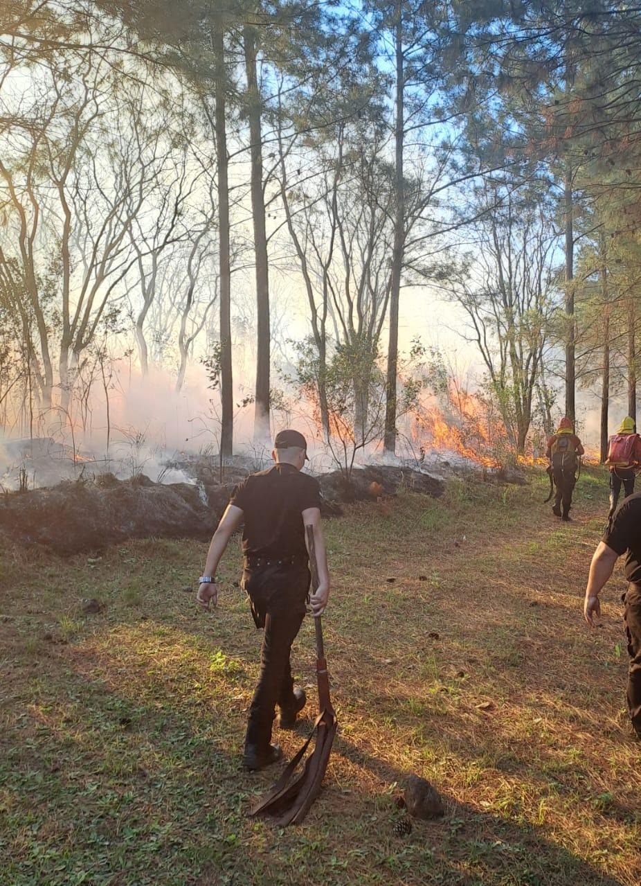 Intensa actividad de Bomberos de la Policía por múltiples focos de incendio en la provincia 7 Intensa actividad de Bomberos de la Policía por múltiples focos de incendio en la provincia imagen-6