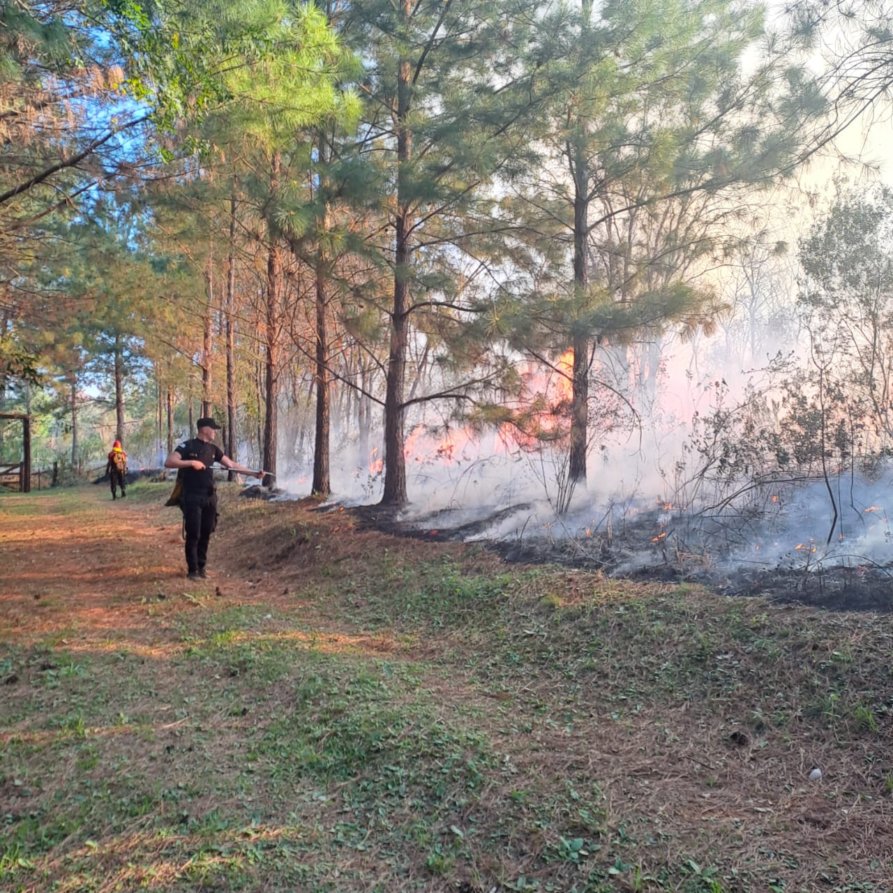 Intensa actividad de Bomberos de la Policía por múltiples focos de incendio en la provincia 17 Intensa actividad de Bomberos de la Policía por múltiples focos de incendio en la provincia imagen-16