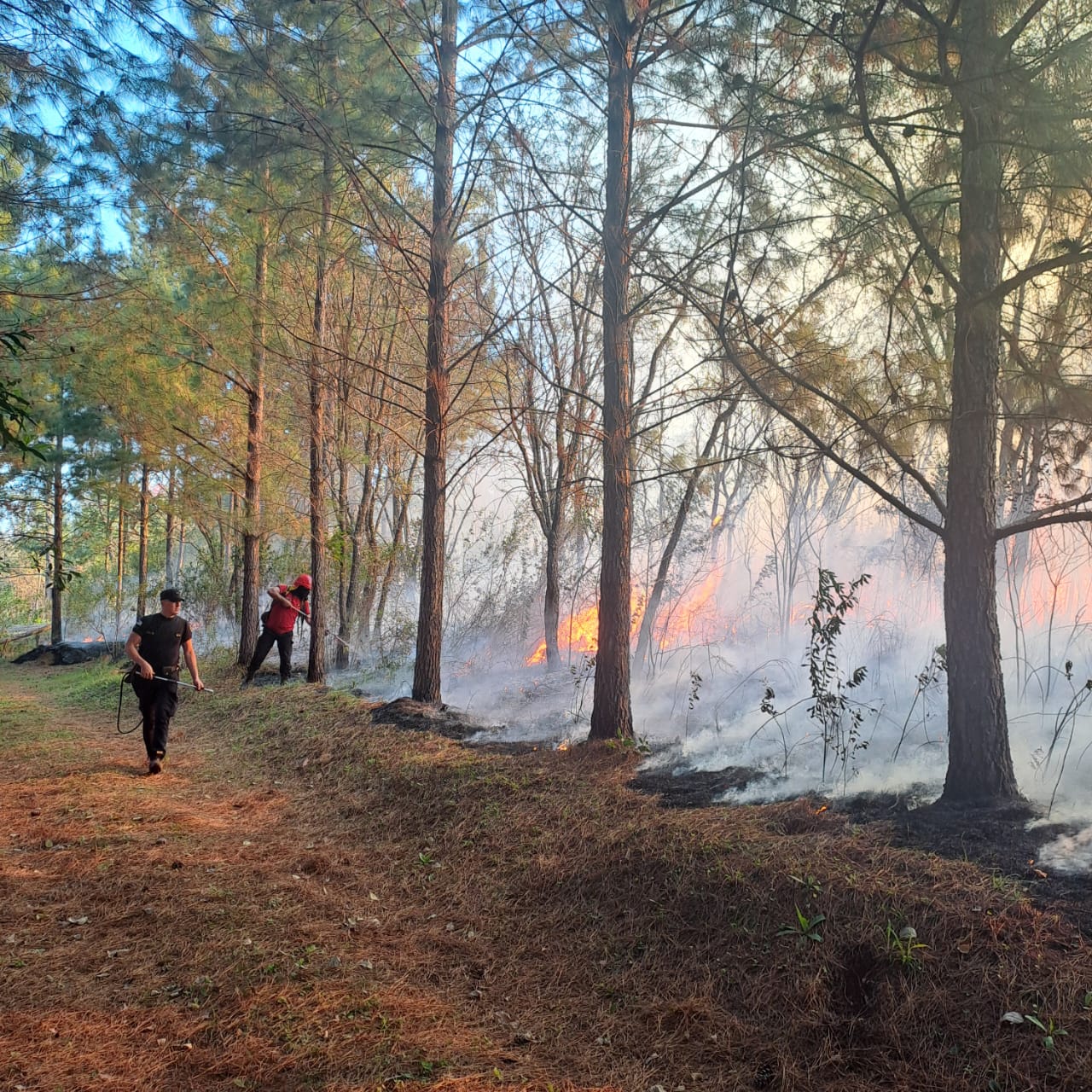 Intensa actividad de Bomberos de la Policía por múltiples focos de incendio en la provincia 11 Intensa actividad de Bomberos de la Policía por múltiples focos de incendio en la provincia imagen-10