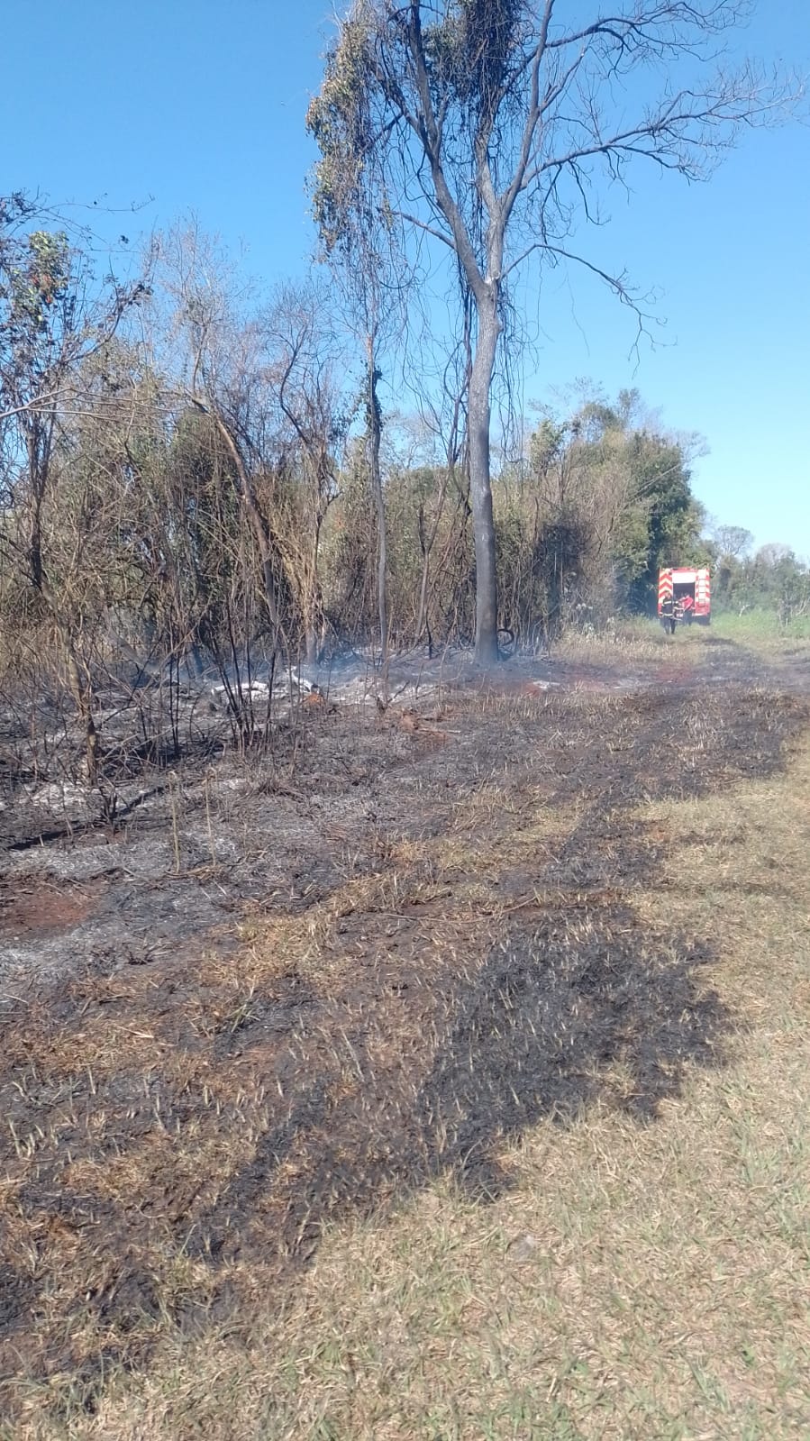 Intensa actividad de Bomberos de la Policía por múltiples focos de incendio en la provincia 9 Intensa actividad de Bomberos de la Policía por múltiples focos de incendio en la provincia imagen-8