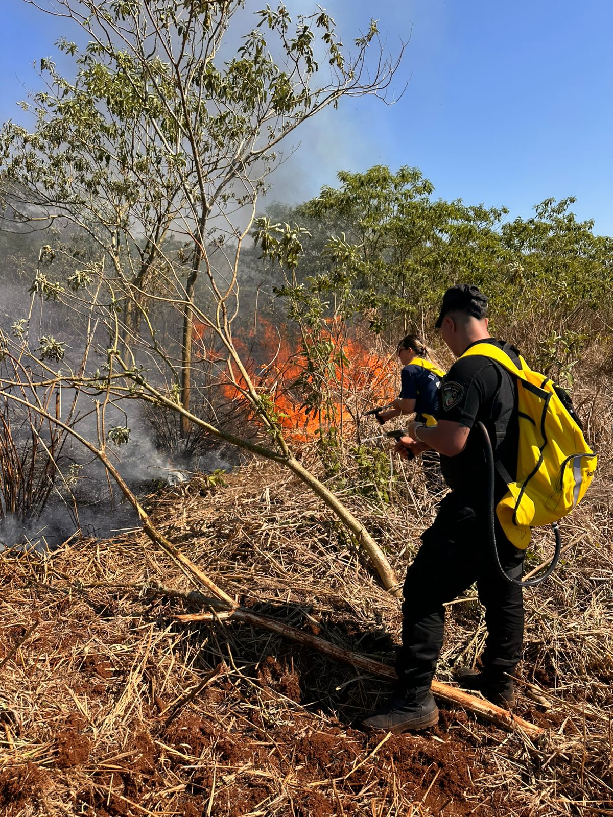Intensa actividad de Bomberos de la Policía por múltiples focos de incendio en la provincia 5 Intensa actividad de Bomberos de la Policía por múltiples focos de incendio en la provincia imagen-4