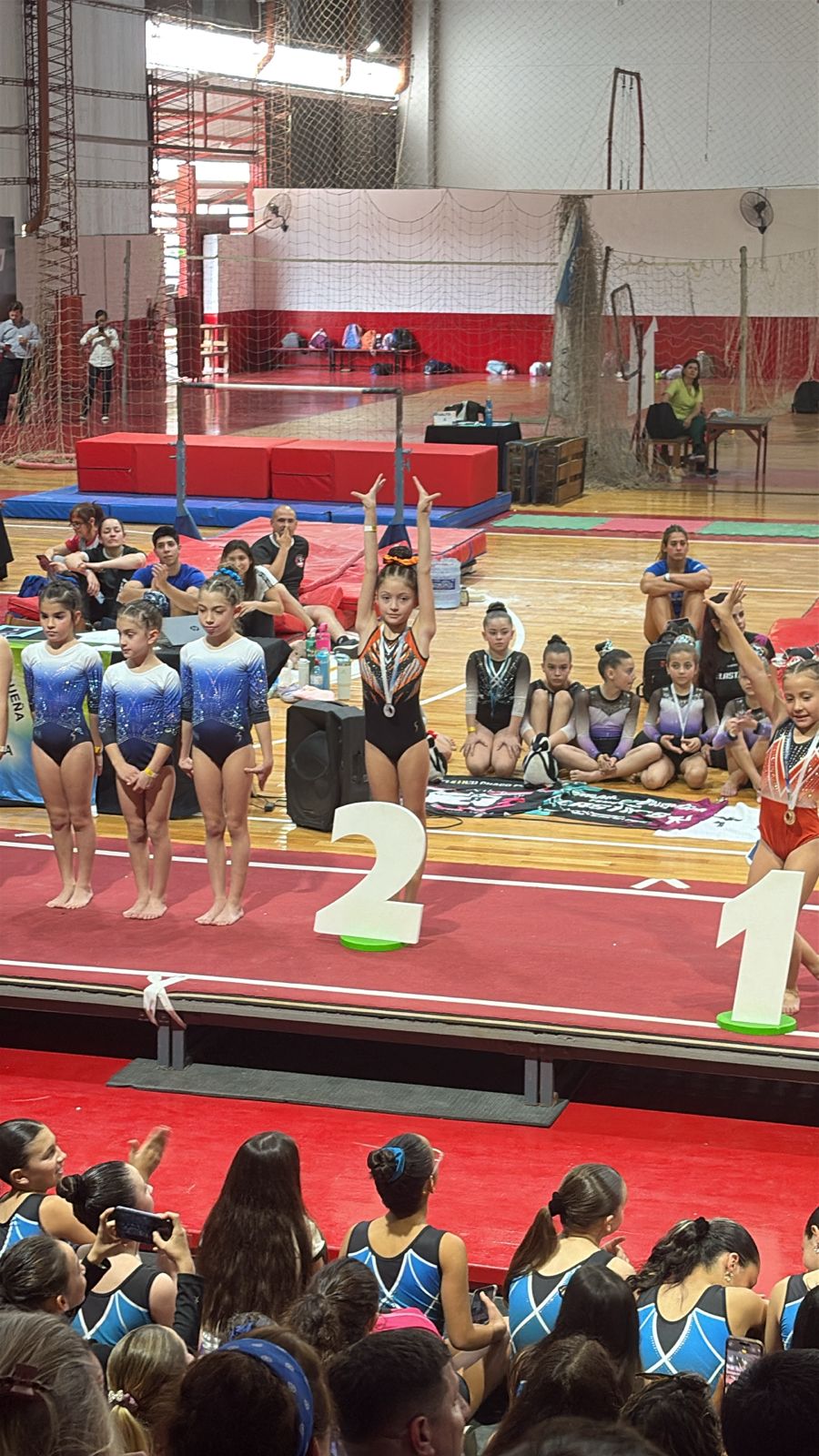 Gimnasia Artística: buena actuación de las representantes de EIGA en Chaco imagen-4