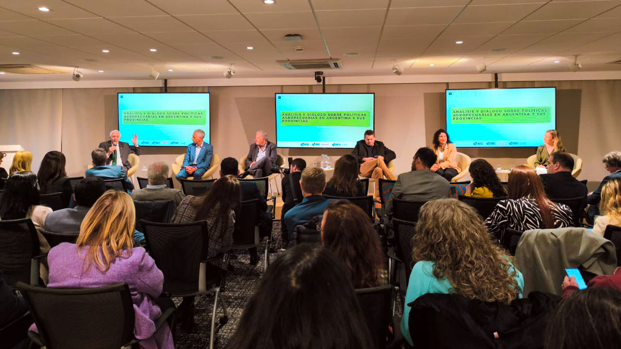 Misiones expuso su mirada productiva en la Jornada de Políticas Agropecuarias organizada por el BID imagen-6