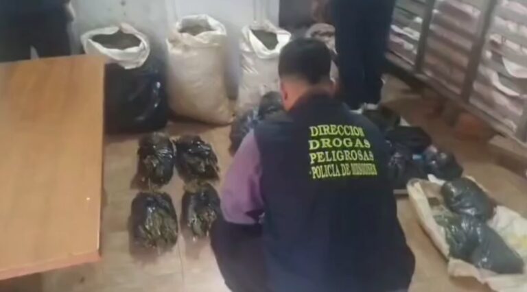 Allanamiento en Posadas: secuestraron casi 60 kilos de marihuana en un inquilinato imagen-24