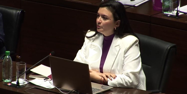 Respaldo legislativo en Misiones al amparo contra las bajas de pensiones por discapacidad 3 Respaldo legislativo en Misiones al amparo contra las bajas de pensiones por discapacidad imagen-2