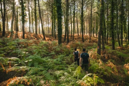 Valeria Celurso explicó los beneficios de los baños de bosque y anunció una actividad en La Reserva Curindy de Garuhapé imagen-2