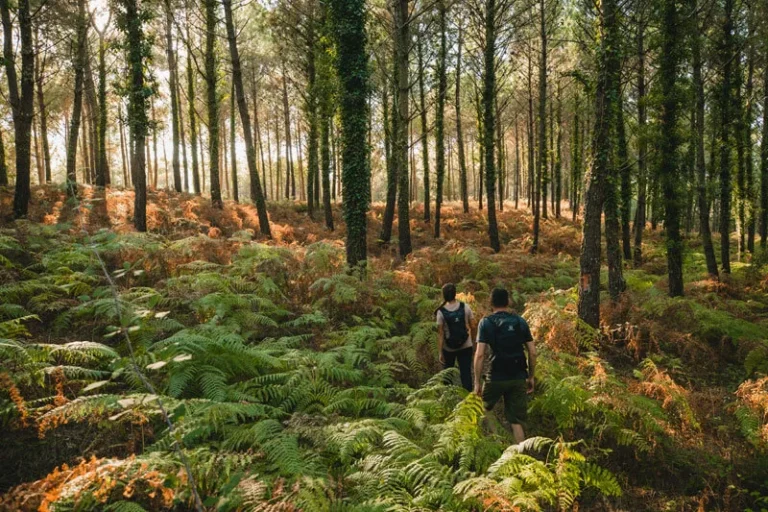 Valeria Celurso explicó los beneficios de los baños de bosque y anunció una actividad en La Reserva Curindy de Garuhapé imagen-5