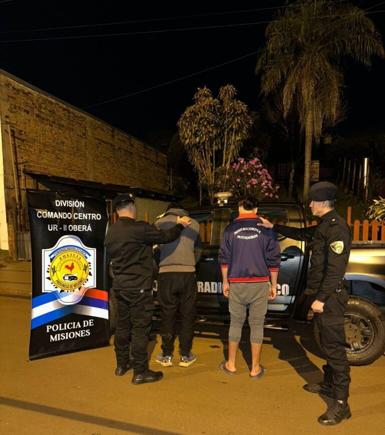 Seguridad en Misiones: seis detenidos, un adolescente demorado y secuestros vinculados a delitos imagen-29
