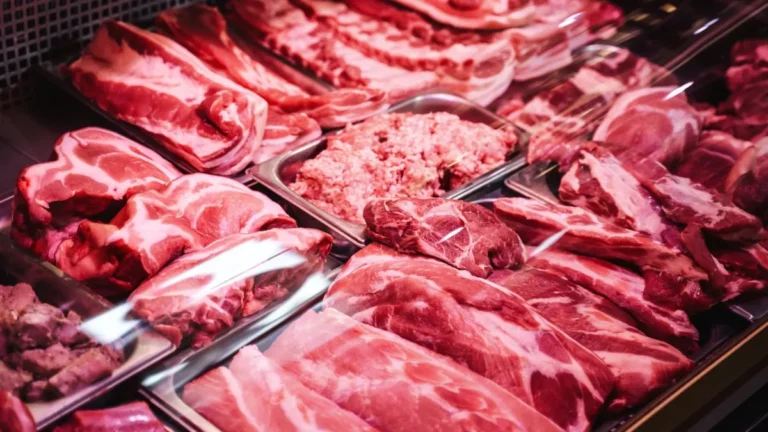 Carne: la Argentina es el único país del Mercosur que en la primera mitad de 2025 exportó menos que en igual período de 2024 imagen-50