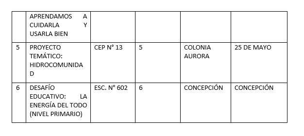 Misiones tiene sus representantes para la Feria Nacional de Ciencias 2025 imagen-18