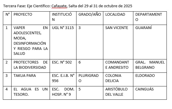 Misiones tiene sus representantes para la Feria Nacional de Ciencias 2025 imagen-16