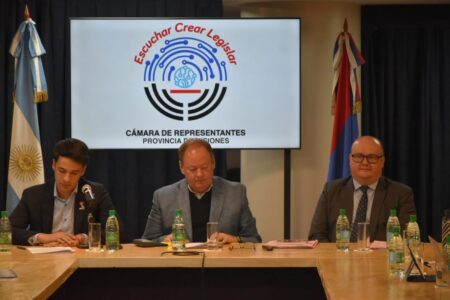 Audiencias públicas en la Legislatura por vacantes en la Justicia concluyeron con dictámenes favorables imagen-5