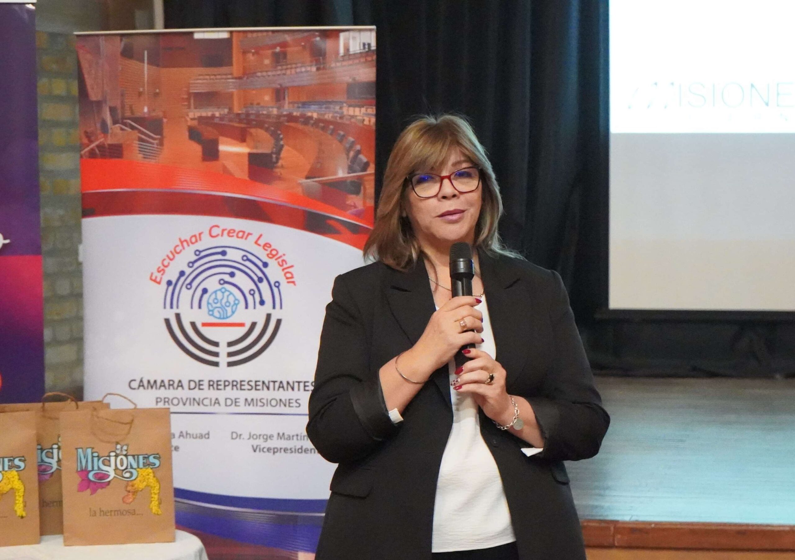 En Alem, continúa el trabajo de la Legislatura para visibilizar el aporte de las cooperativas a los objetivos de desarrollo sostenible 3 En Alem, continúa el trabajo de la Legislatura para visibilizar el aporte de las cooperativas a los objetivos de desarrollo sostenible imagen-2