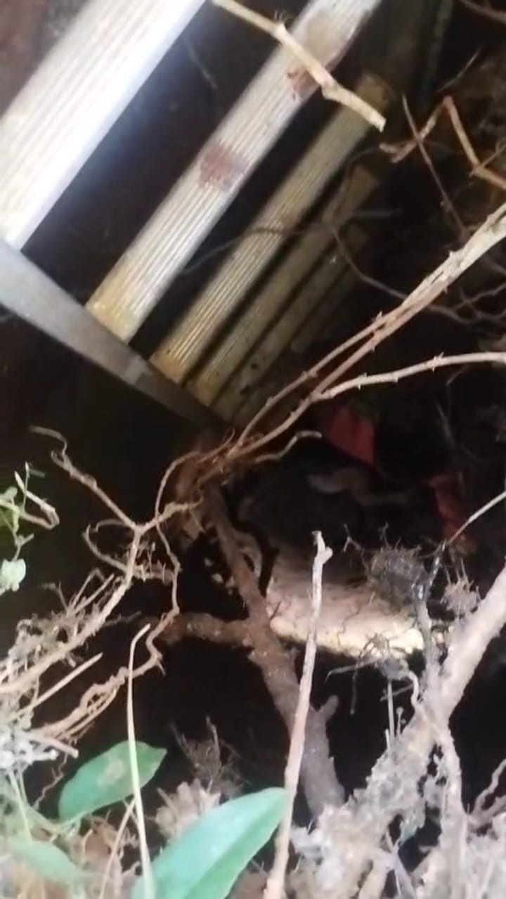 Bomberos de la Policía rescataron a un niño que cayó en un pozo abandonado de 8 metros 3 Bomberos de la Policía rescataron a un niño que cayó en un pozo abandonado de 8 metros imagen-2