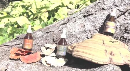 Legislatura: crean el Programa Provincial de Investigación y Desarrollo de Productos de Uso Medicinal de los Hongos y sus Derivados Legislatura: crean el Programa Provincial de Investigación y Desarrollo de Productos de Uso Medicinal de los Hongos y sus Derivados imagen-2